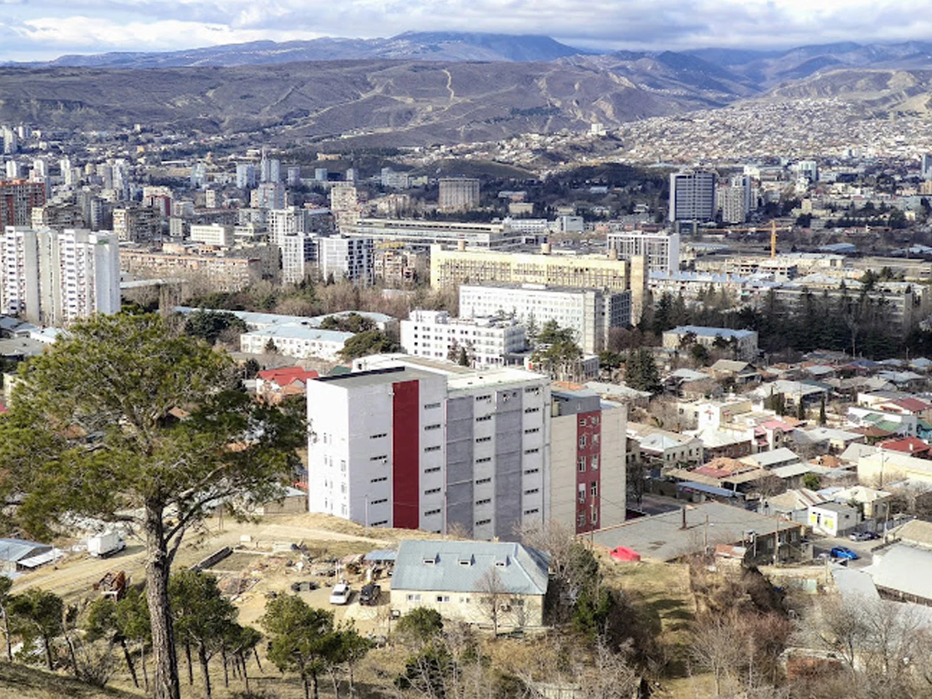 Caucasus International University 4